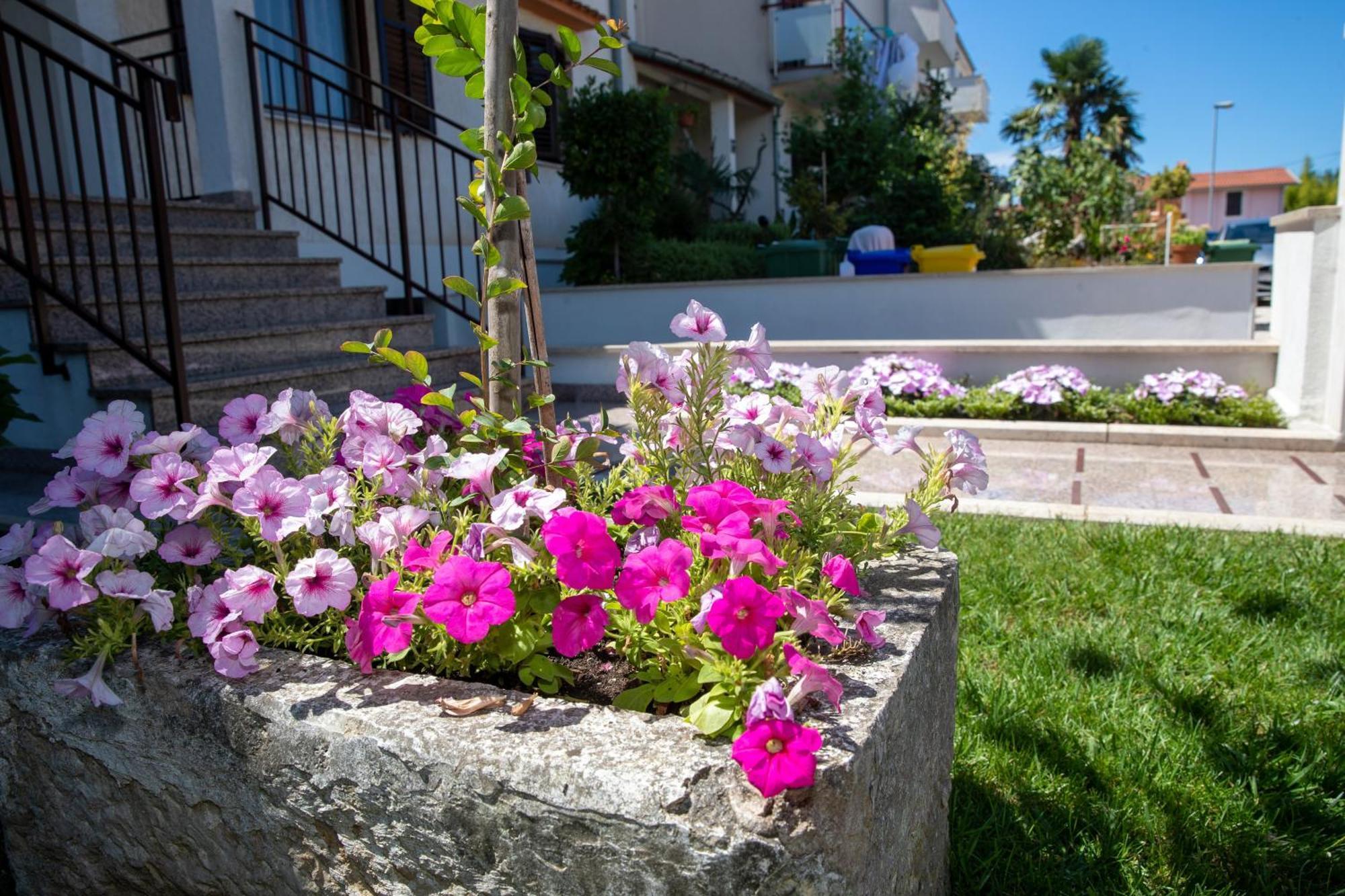 Studio Apartment Noah Rovinj Eksteriør bilde